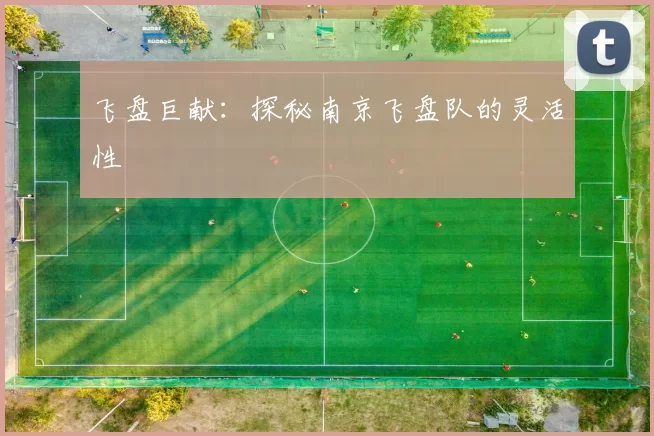 飞盘巨献：探秘南京飞盘队的灵活性