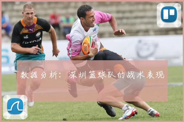 数据分析：深圳篮球队的战术表现