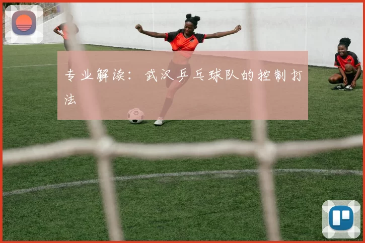 专业解读：武汉乒乓球队的控制打法