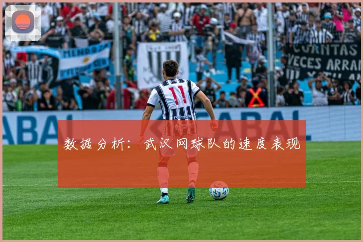 数据分析：武汉网球队的速度表现