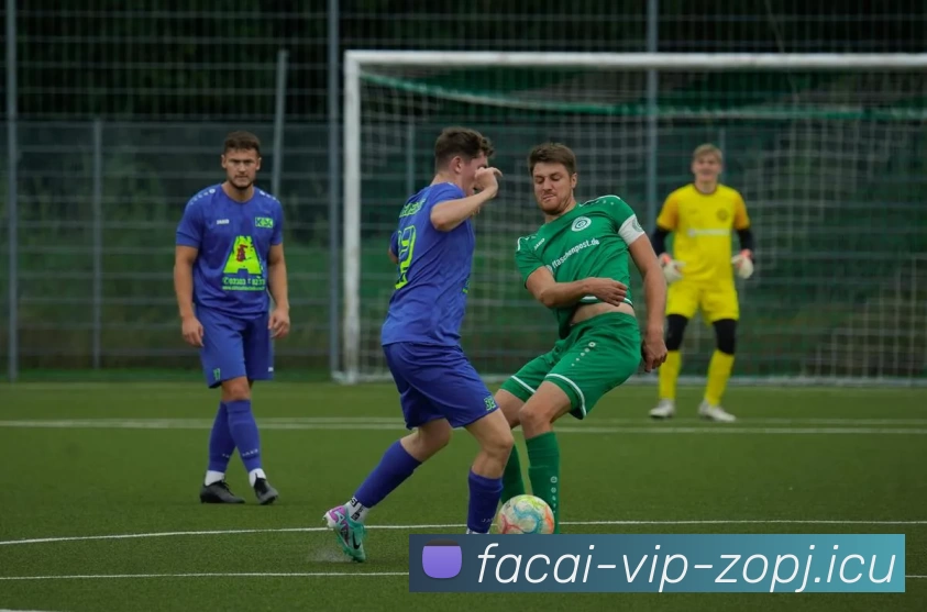 乐鱼体育平台生态图