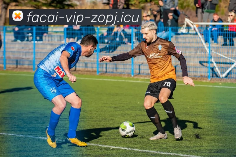 乐鱼体育全站App